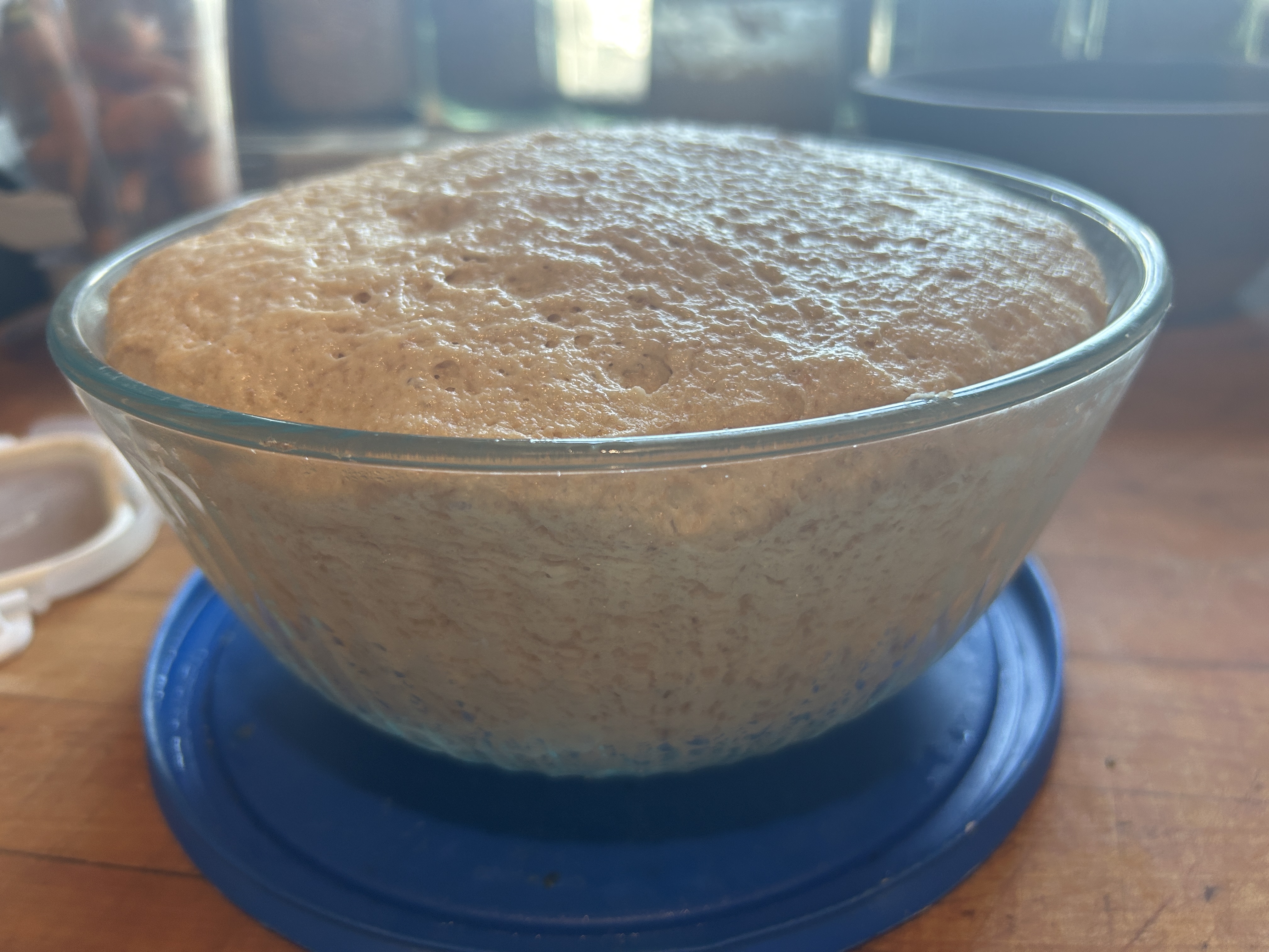 Fermentation (The First Rise)