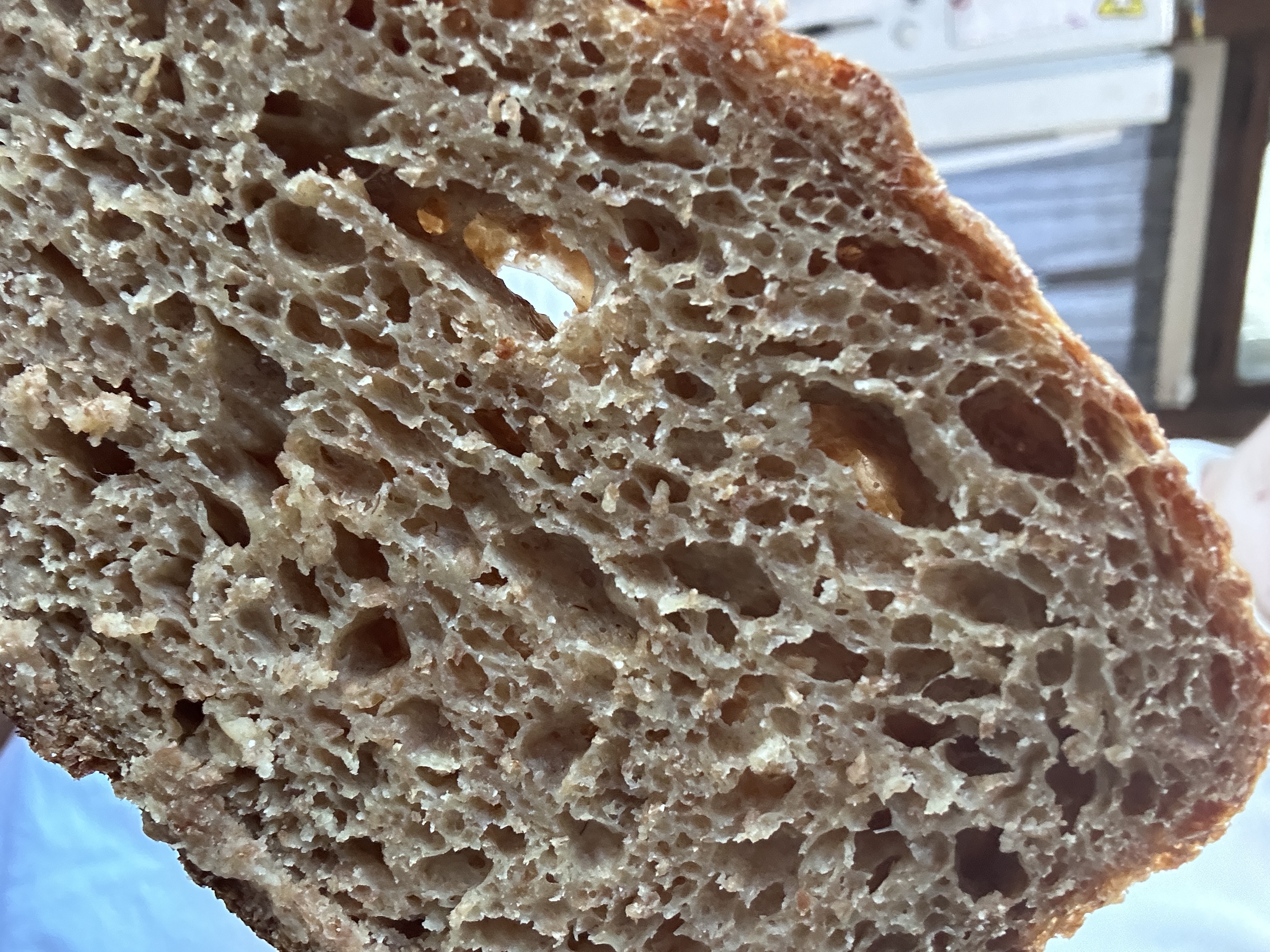 100% Spelt Italian Bread (fresh milled)