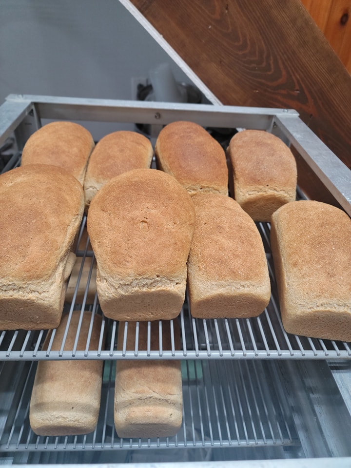 Beginner’s Fresh-Milled Bread Dough