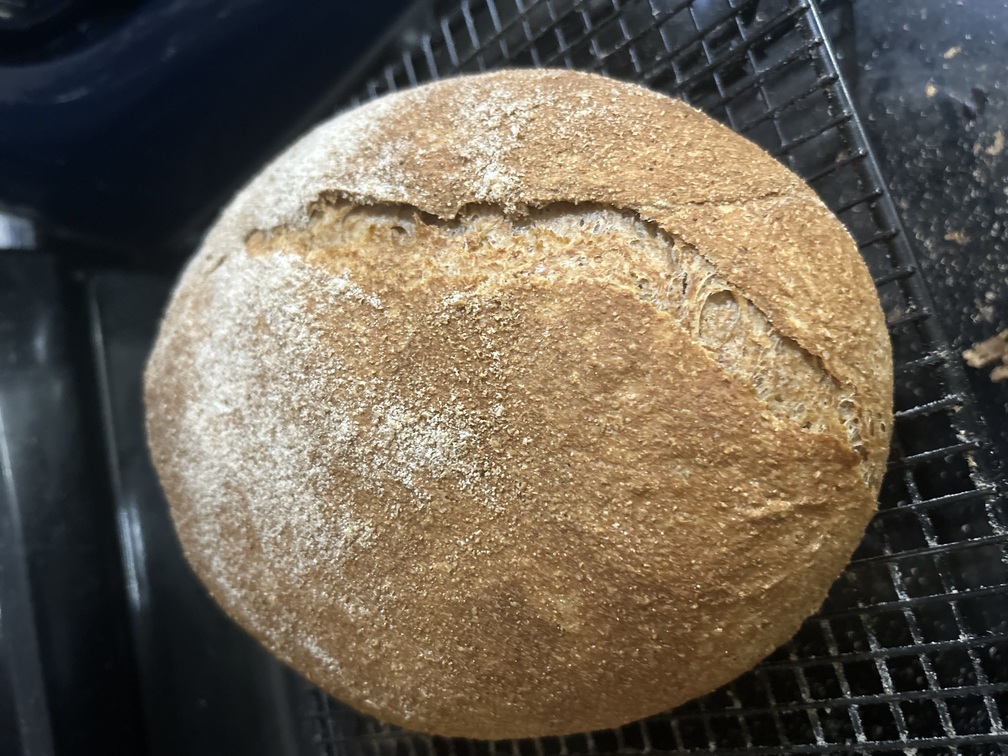 Whisked Italian Bread, Ciabatta Rolls, and English Muffin Loaf