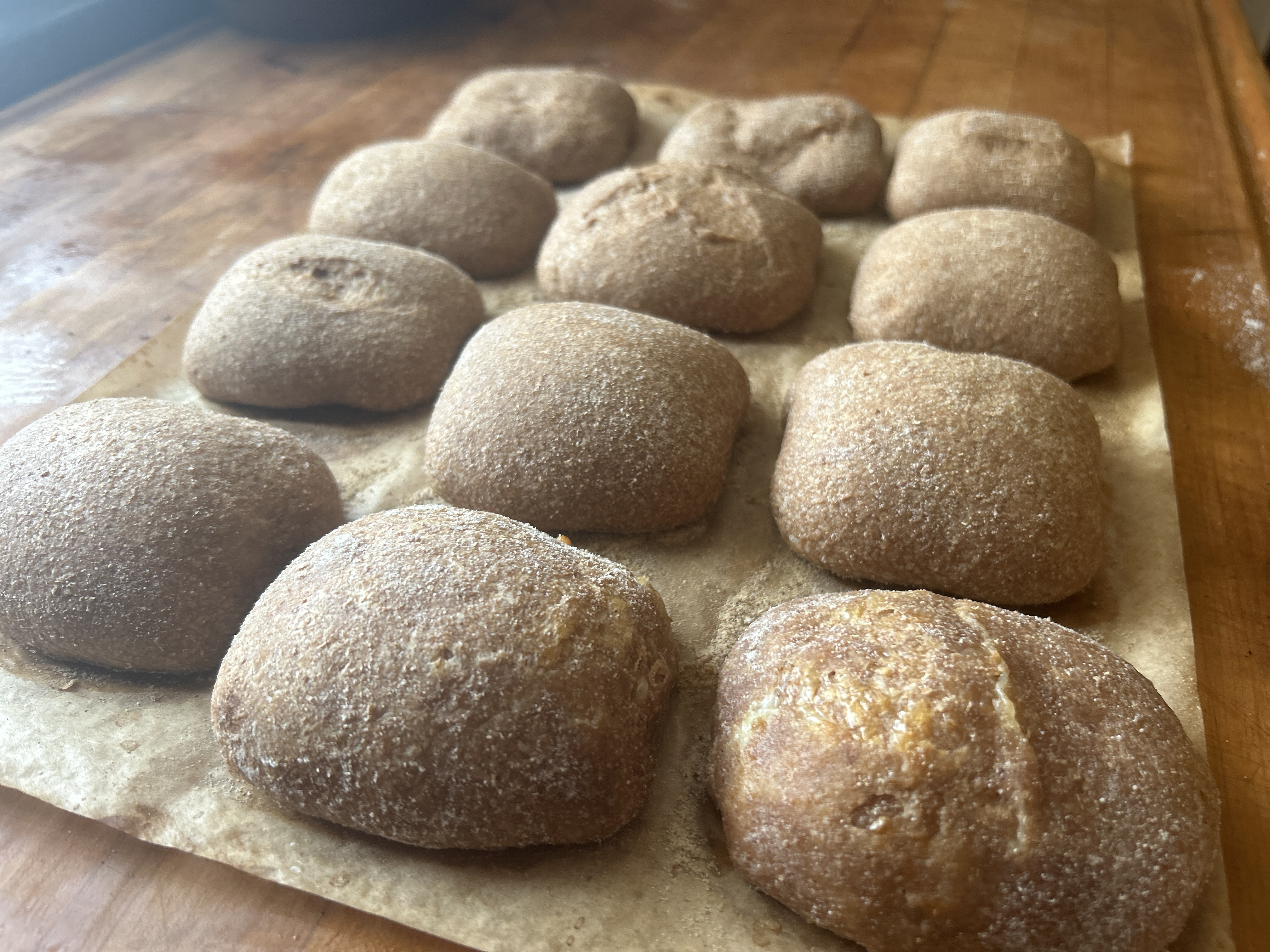 Fresh Milled Sourdough Ciabatta Rolls