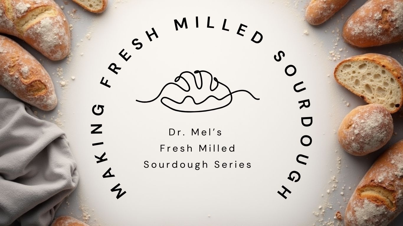 Making Fresh Milled Sourdough Bread
