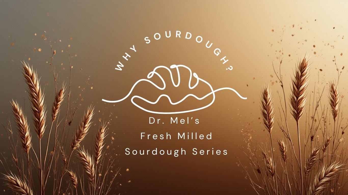 Dr. Mel's Sourdough Series - Why Sourdough?