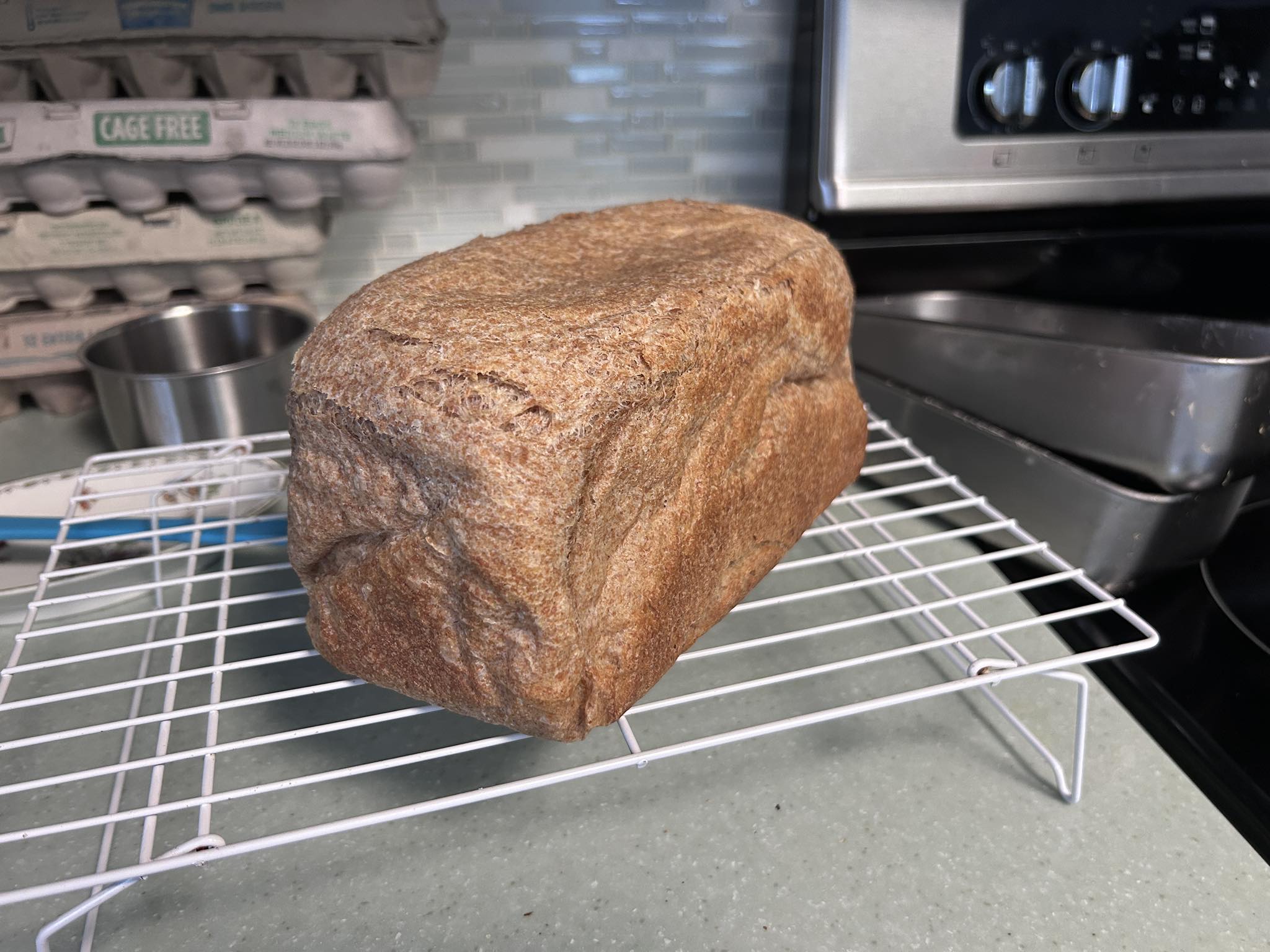 100% Spelt Italian Bread, whole grain