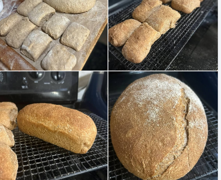 Whisked Italian Bread, Ciabatta Rolls, and English Muffin Loaf