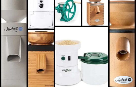 How to Choose the Best Grain Mill for Your Needs