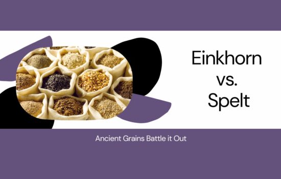 Spelt vs. Einkorn: The Ultimate Battle of Ancient Grains