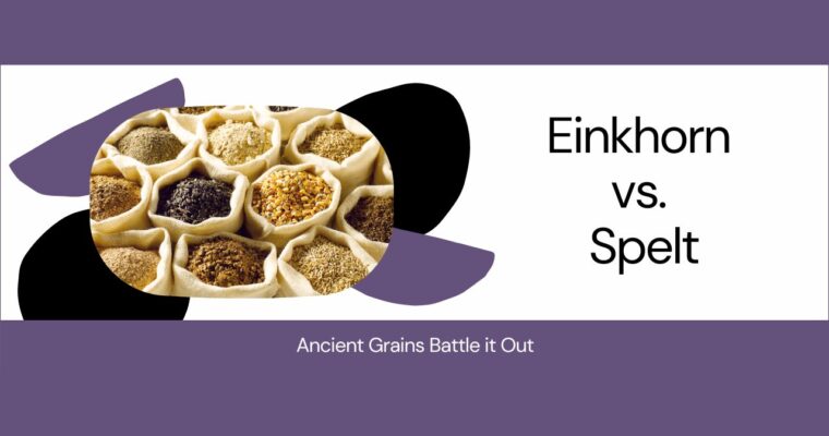 Spelt vs. Einkorn: The Ultimate Battle of Ancient Grains