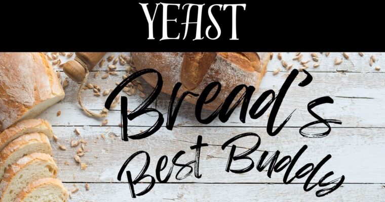 Types of Yeast: A Baker’s Guide to Bread-Raising Power