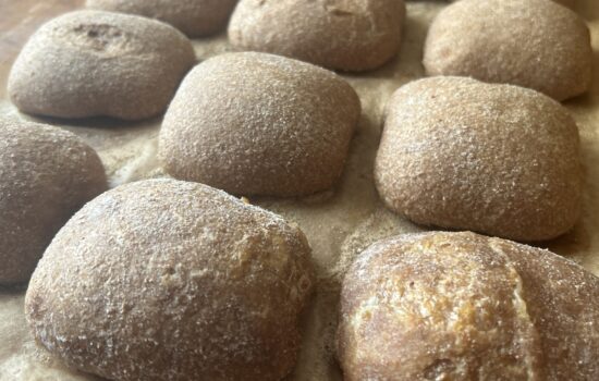 Fresh Milled Sourdough Ciabatta Rolls