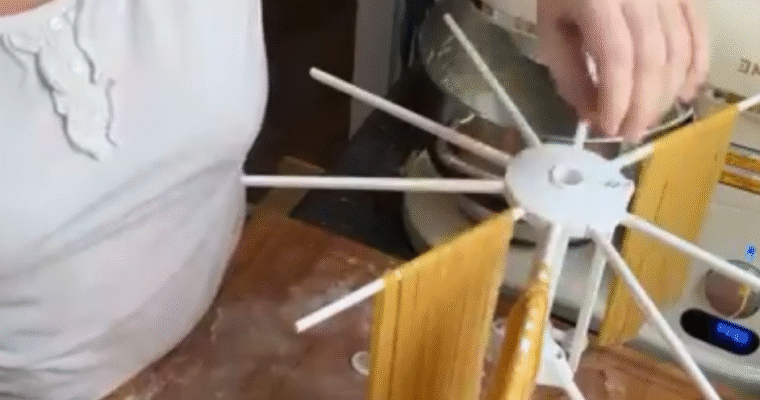 Sourdough Pasta by Hand