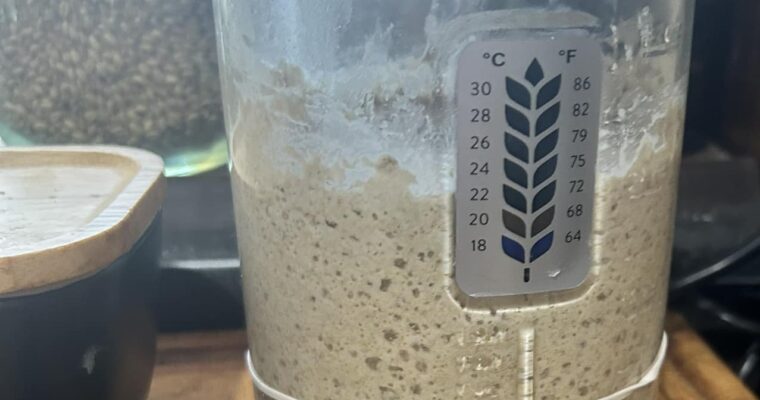Fresh Milled Stiff Sourdough Starter